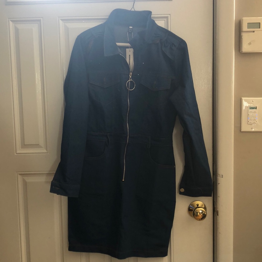 Chic boutique Rose zipper Jean dress